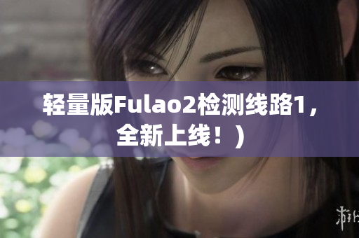 轻量版Fulao2检测线路1，全新上线！)
