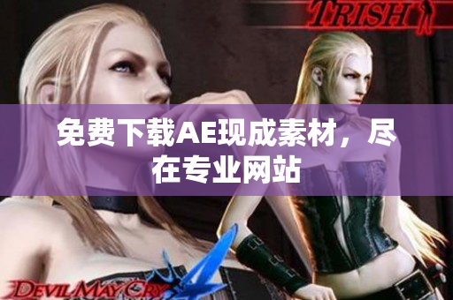 免费下载AE现成素材，尽在专业网站