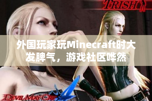 外国玩家玩Minecraft时大发脾气，游戏社区哗然