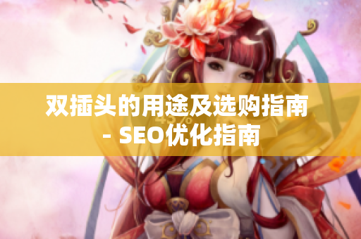双插头的用途及选购指南 - SEO优化指南