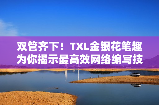 双管齐下！TXL金银花笔趣为你揭示最高效网络编写技巧