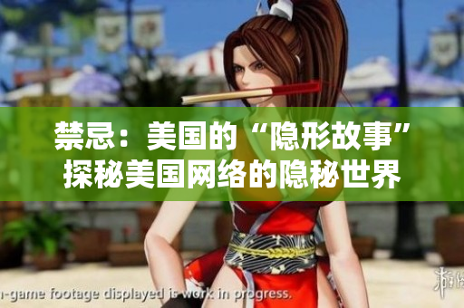 禁忌：美国的“隐形故事”探秘美国网络的隐秘世界