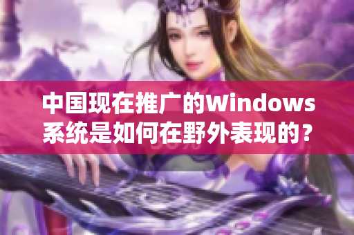 中国现在推广的Windows系统是如何在野外表现的？