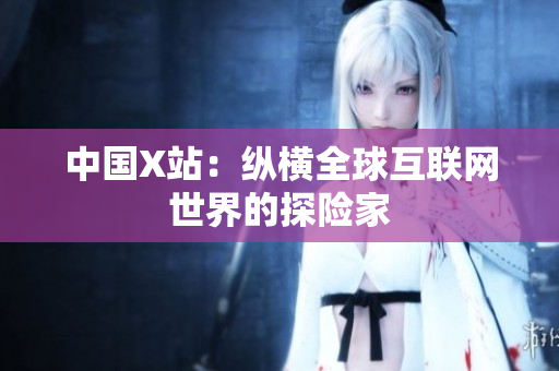 中国X站：纵横全球互联网世界的探险家