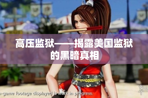 高压监狱——揭露美国监狱的黑暗真相