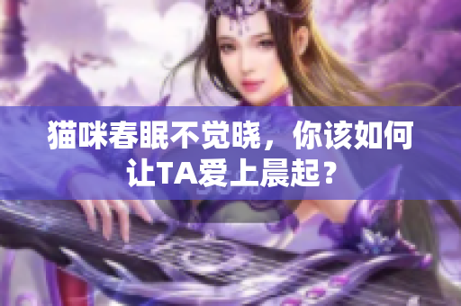 猫咪春眠不觉晓，你该如何让TA爱上晨起？