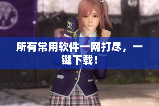 所有常用软件一网打尽，一键下载！