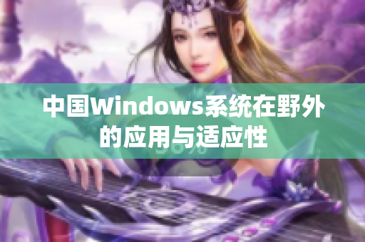 中国Windows系统在野外的应用与适应性