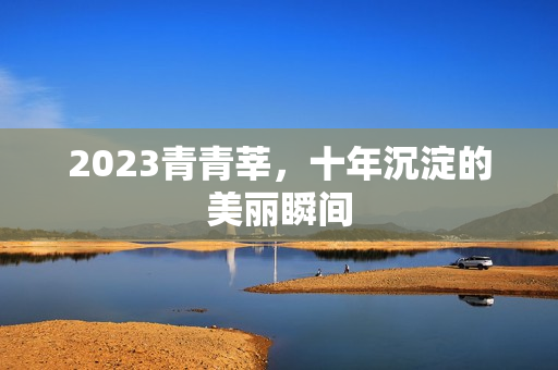2023青青莘，十年沉淀的美丽瞬间