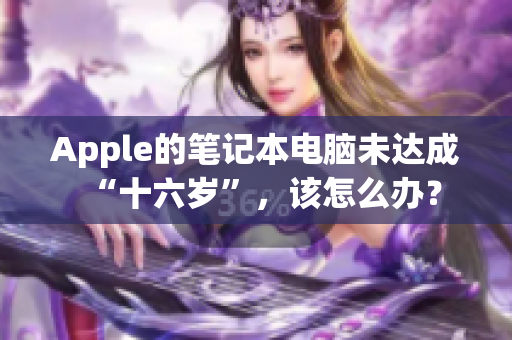 Apple的笔记本电脑未达成“十六岁”，该怎么办？