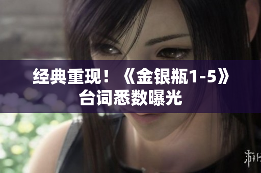 经典重现！《金银瓶1-5》台词悉数曝光