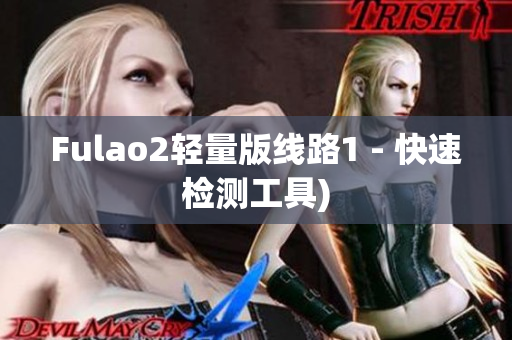 Fulao2轻量版线路1 - 快速检测工具)