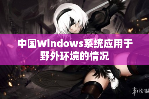 中国Windows系统应用于野外环境的情况
