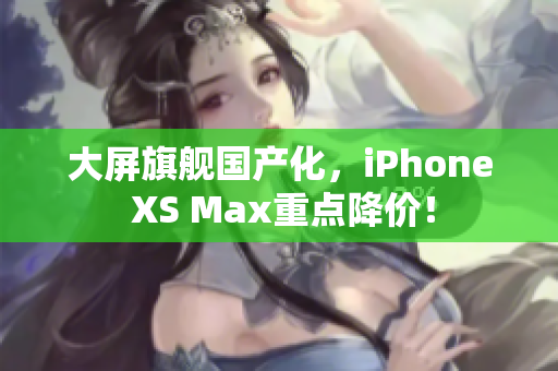 大屏旗舰国产化，iPhone XS Max重点降价！