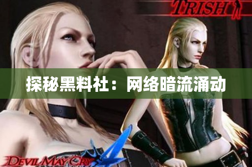 探秘黑料社：网络暗流涌动