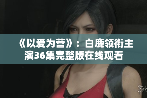 《以爱为营》：白鹿领衔主演36集完整版在线观看