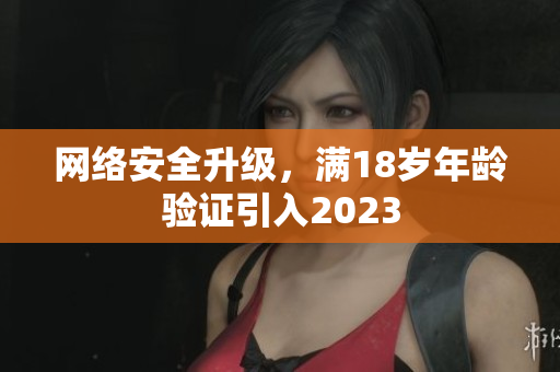 网络安全升级，满18岁年龄验证引入2023