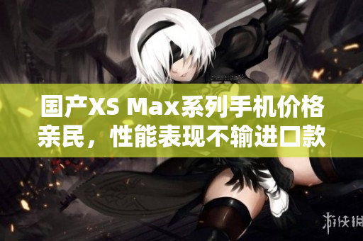 国产XS Max系列手机价格亲民，性能表现不输进口款