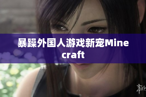 暴躁外国人游戏新宠Minecraft