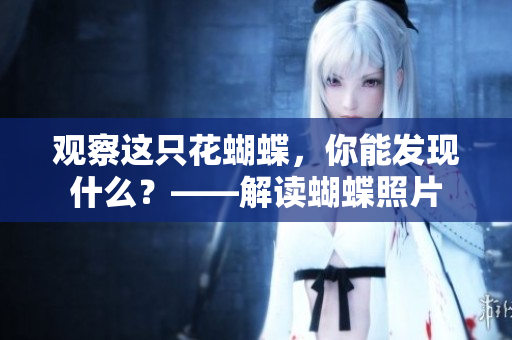 观察这只花蝴蝶，你能发现什么？——解读蝴蝶照片
