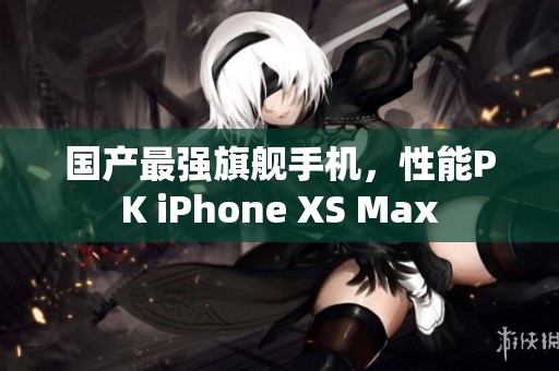 国产最强旗舰手机，性能PK iPhone XS Max