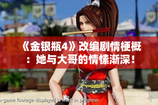 《金银瓶4》改编剧情梗概：她与大哥的情愫渐深！