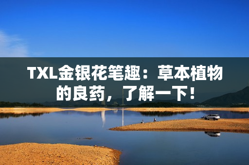 TXL金银花笔趣：草本植物的良药，了解一下！