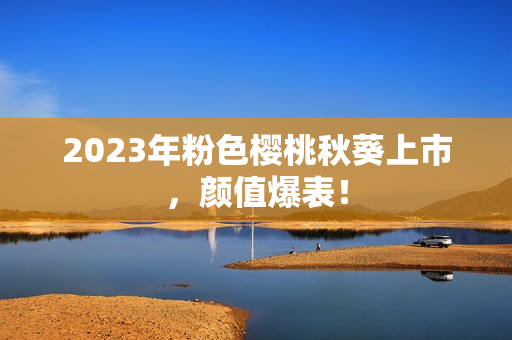 2023年粉色樱桃秋葵上市，颜值爆表！