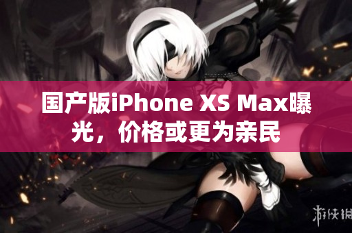 国产版iPhone XS Max曝光，价格或更为亲民