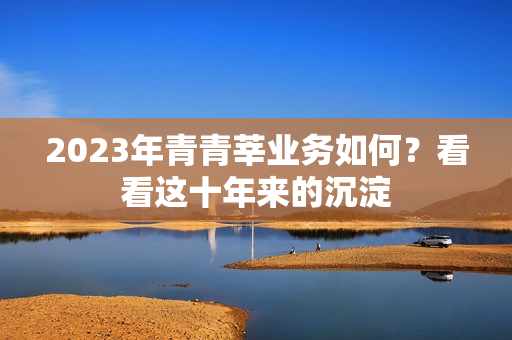 2023年青青莘业务如何？看看这十年来的沉淀