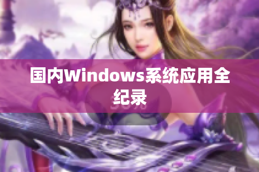 国内Windows系统应用全纪录