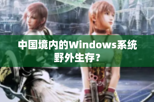 中国境内的Windows系统野外生存？