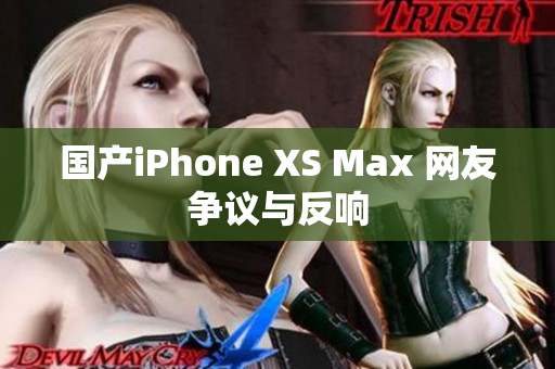 国产iPhone XS Max 网友争议与反响