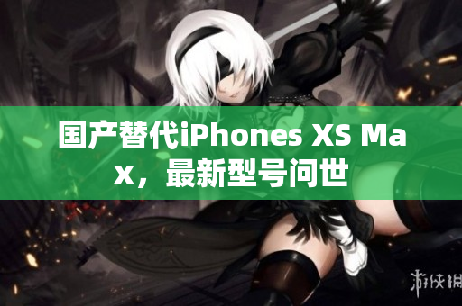 国产替代iPhones XS Max，最新型号问世