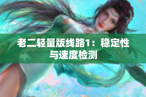 老二轻量版线路1：稳定性与速度检测