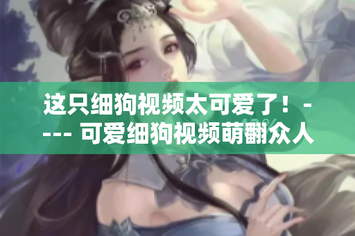 这只细狗视频太可爱了！---- 可爱细狗视频萌翻众人！