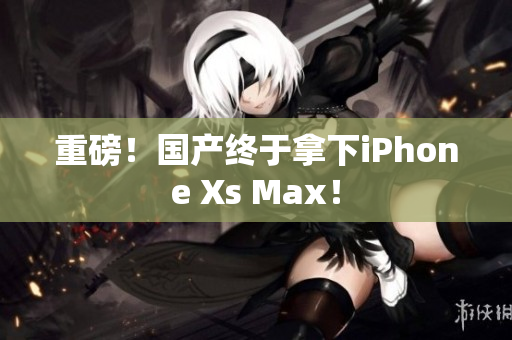 重磅！国产终于拿下iPhone Xs Max！