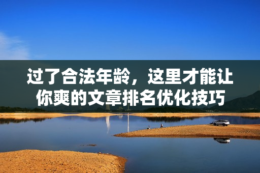 过了合法年龄，这里才能让你爽的文章排名优化技巧