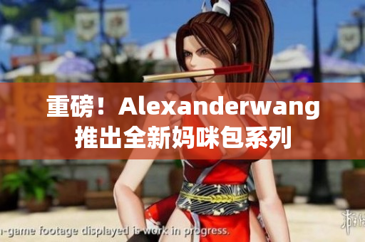 重磅！Alexanderwang推出全新妈咪包系列