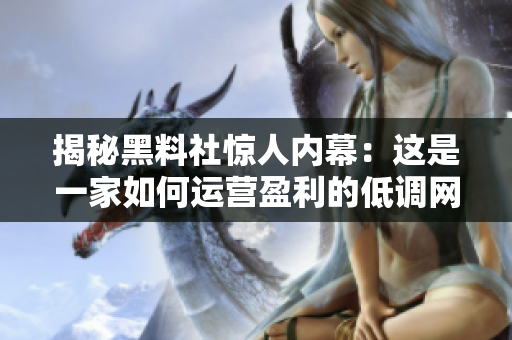揭秘黑料社惊人内幕：这是一家如何运营盈利的低调网络营销公司