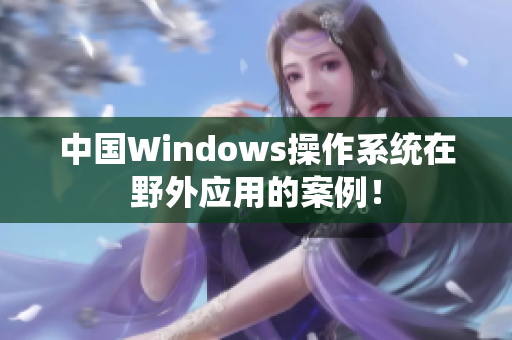 中国Windows操作系统在野外应用的案例！