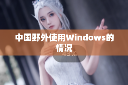 中国野外使用Windows的情况