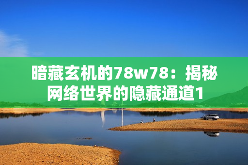 暗藏玄机的78w78：揭秘网络世界的隐藏通道1
