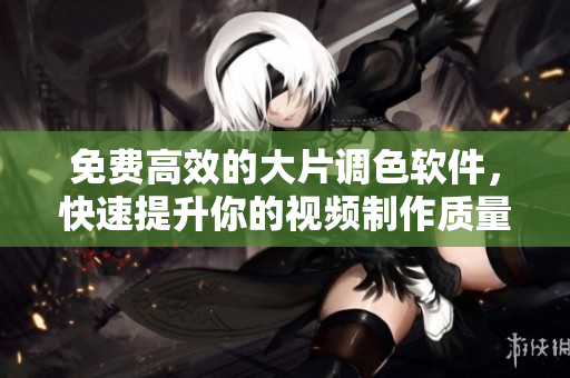 免费高效的大片调色软件，快速提升你的视频制作质量