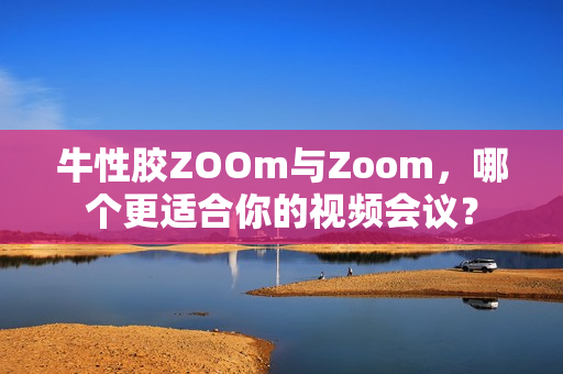 牛性胶ZOOm与Zoom，哪个更适合你的视频会议？