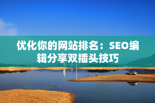 优化你的网站排名：SEO编辑分享双插头技巧