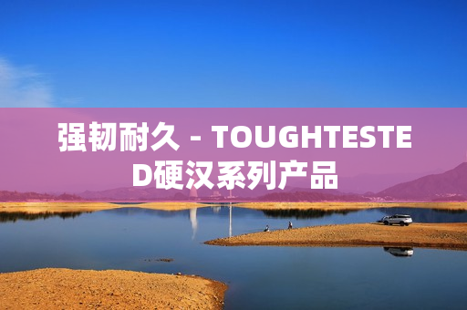 强韧耐久 - TOUGHTESTED硬汉系列产品