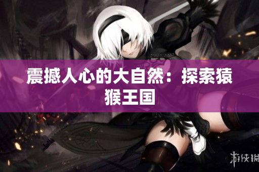 震撼人心的大自然：探索猿猴王国