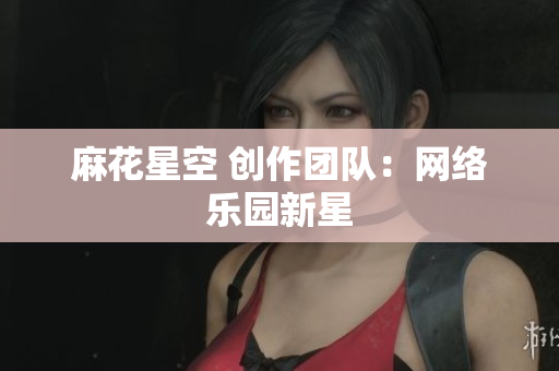 麻花星空 创作团队：网络乐园新星