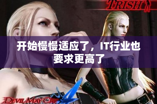 开始慢慢适应了，IT行业也要求更高了